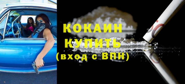 индика Бородино