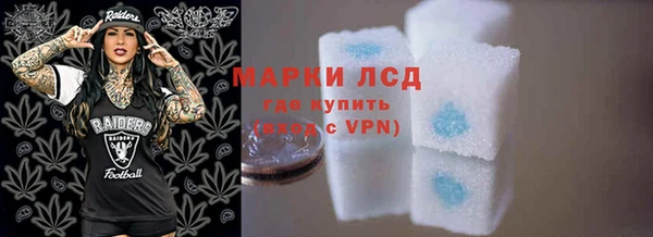 индика Бородино
