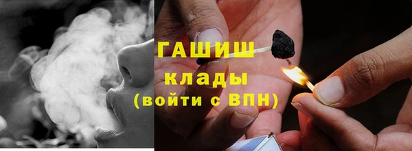 индика Бородино