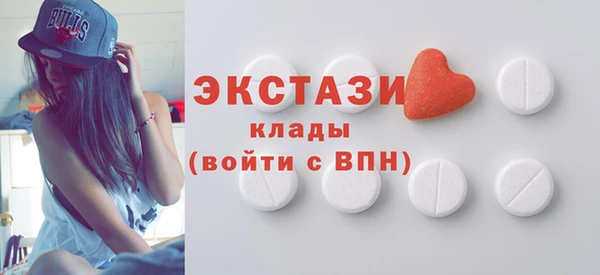 индика Бородино