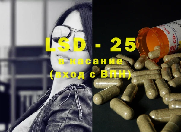 индика Бородино