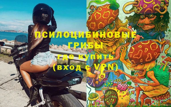 стафф Бронницы