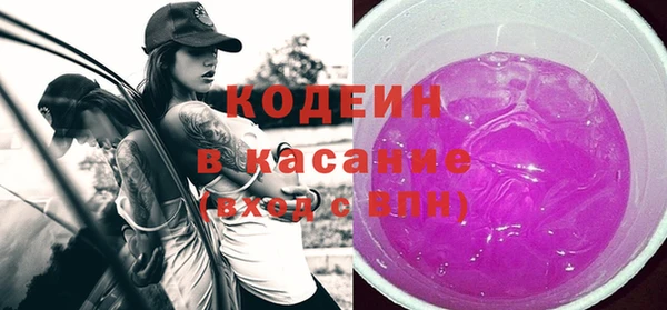 индика Бородино