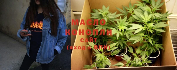 индика Бородино