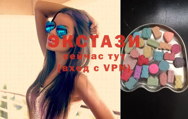 индика Бородино
